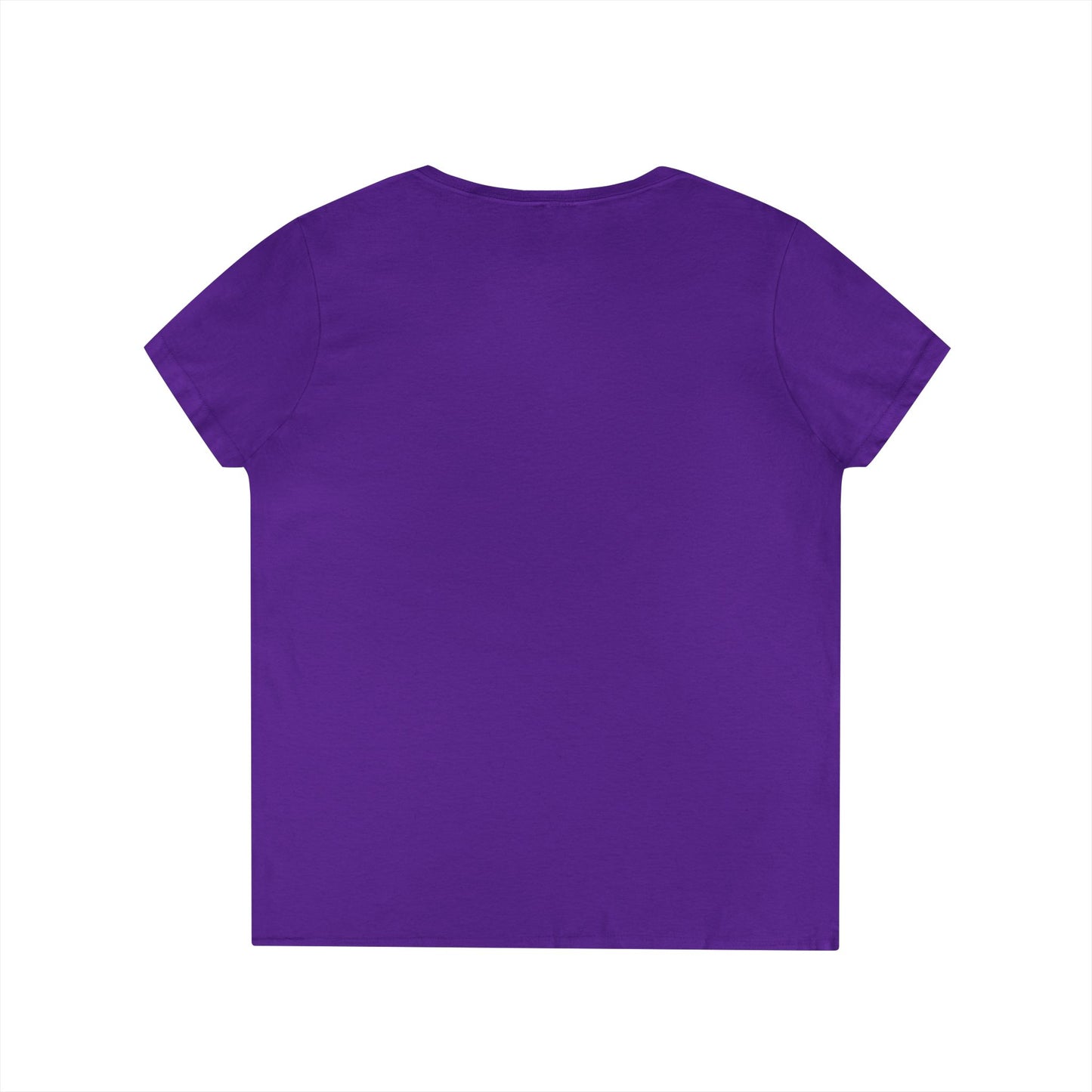 'I Won't Pass a PPE' OTTB on Tap Underdog Stories Ladies V-Neck Tee